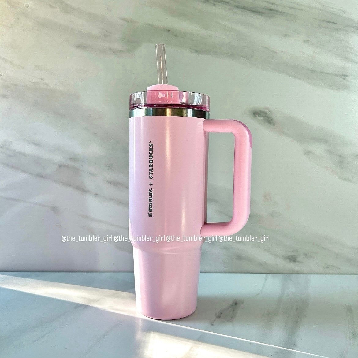 Starbucks Taiwan x Stanley 2024 Valentine's Day Pink Cat 30oz Stainless steel Tumbler