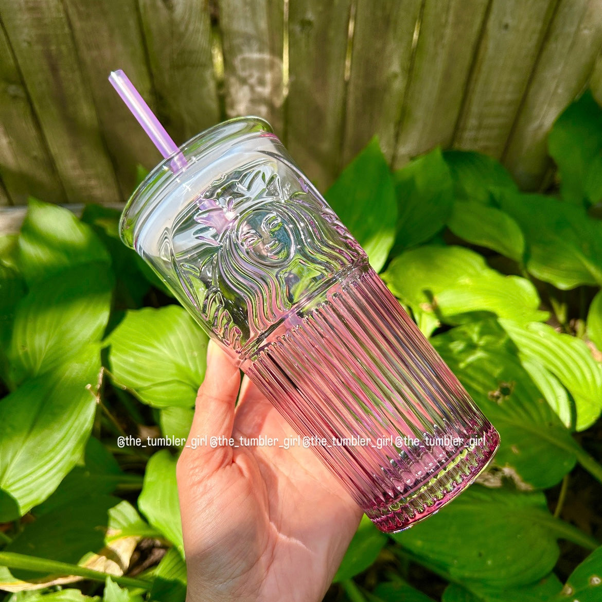 Starbucks China Exclusive 18oz Purple Gradient Glass Cup (READY TO SHIP)