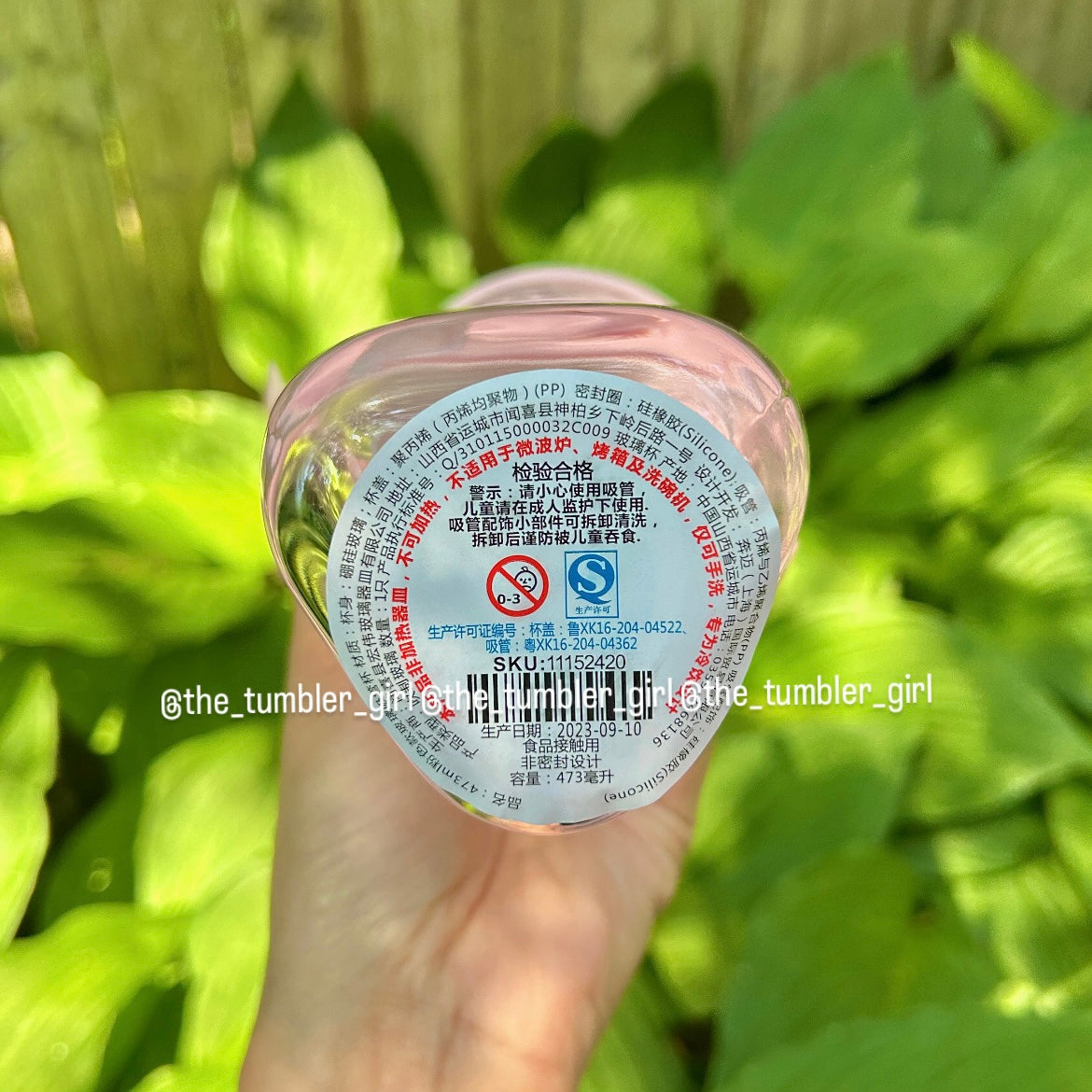 Starbucks China Exclusive 16oz Pink Triangle Glass Cold Cup (READY TO SHIP)