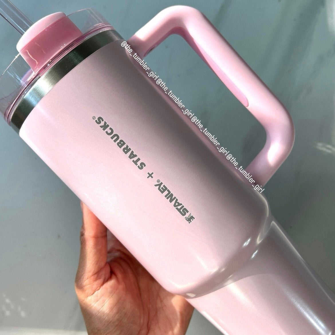 Starbucks Taiwan x Stanley 2024 Valentine's Day Pink Cat 30oz Stainless steel Tumbler