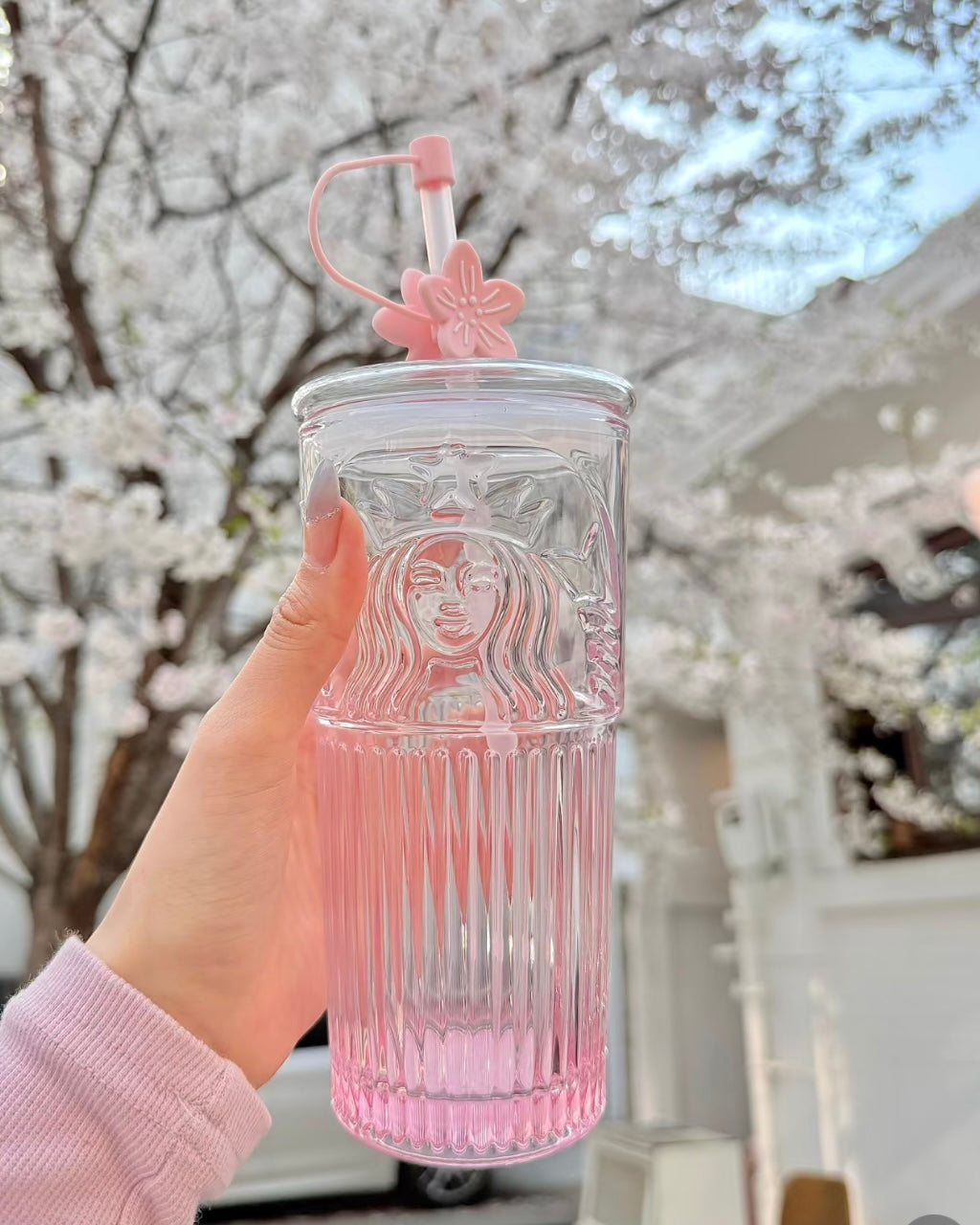 Starbucks China 18oz Sakura Cherry Blossom Pink Glass Cold Cup