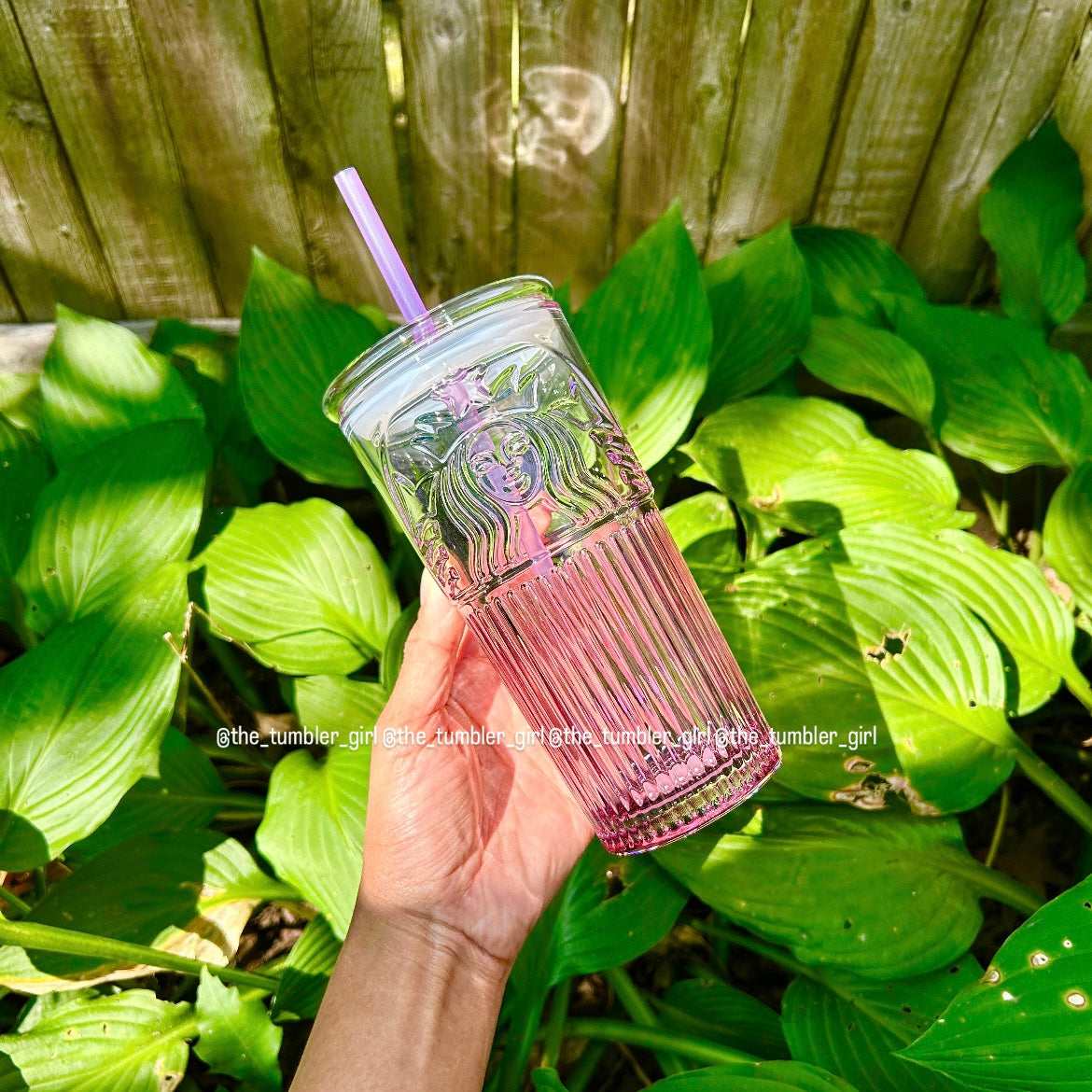 Starbucks China Exclusive 18oz Purple Gradient Glass Cup (READY TO SHIP)