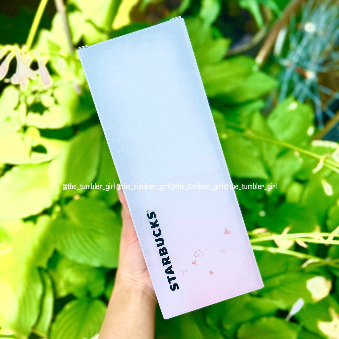Starbucks China 16oz Heart-Shaped Bottom Pink Glass Cold Cup (READY TO SHIP)