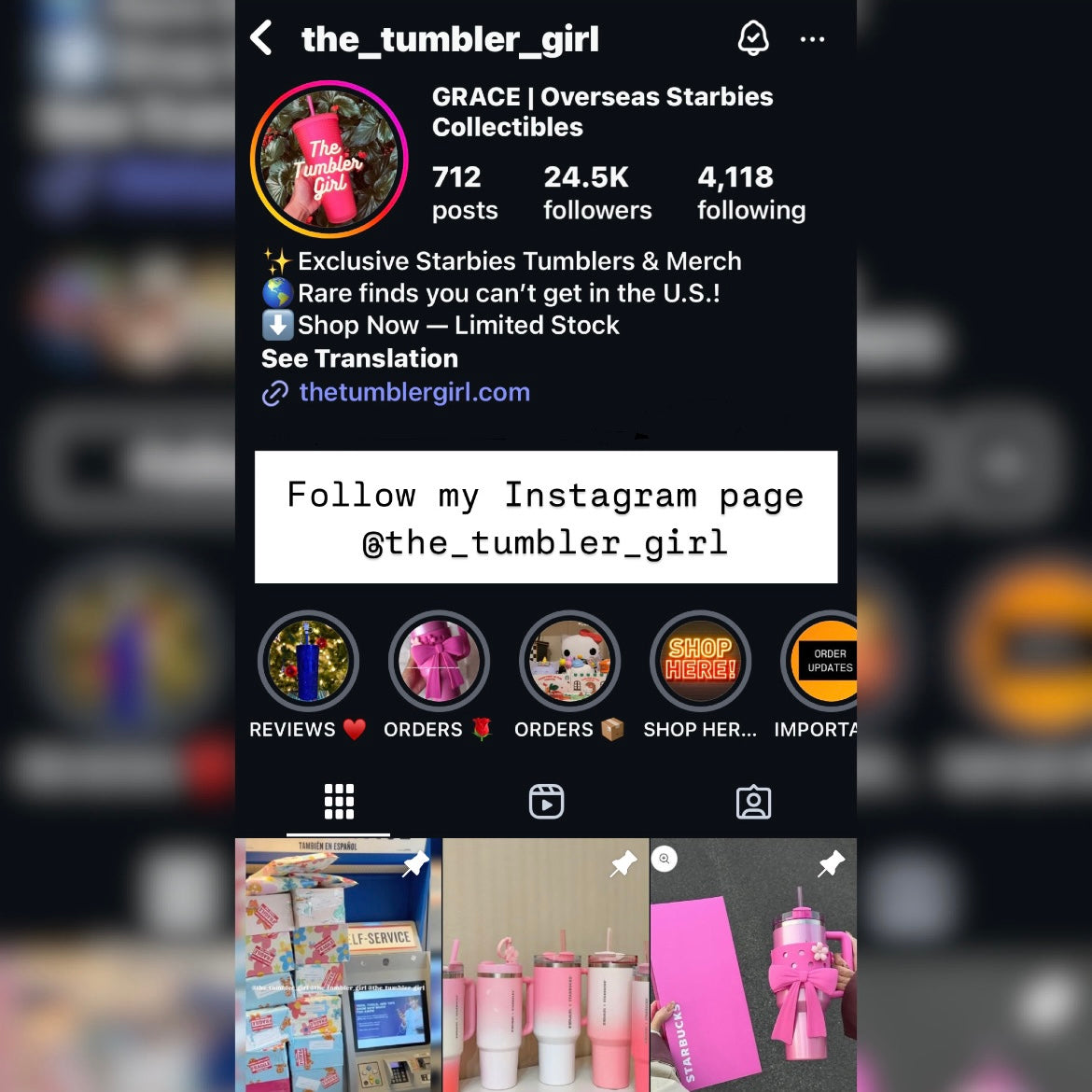 LIMITED Starbucks Taiwan Exclusive Brown Mesh Tote Bag