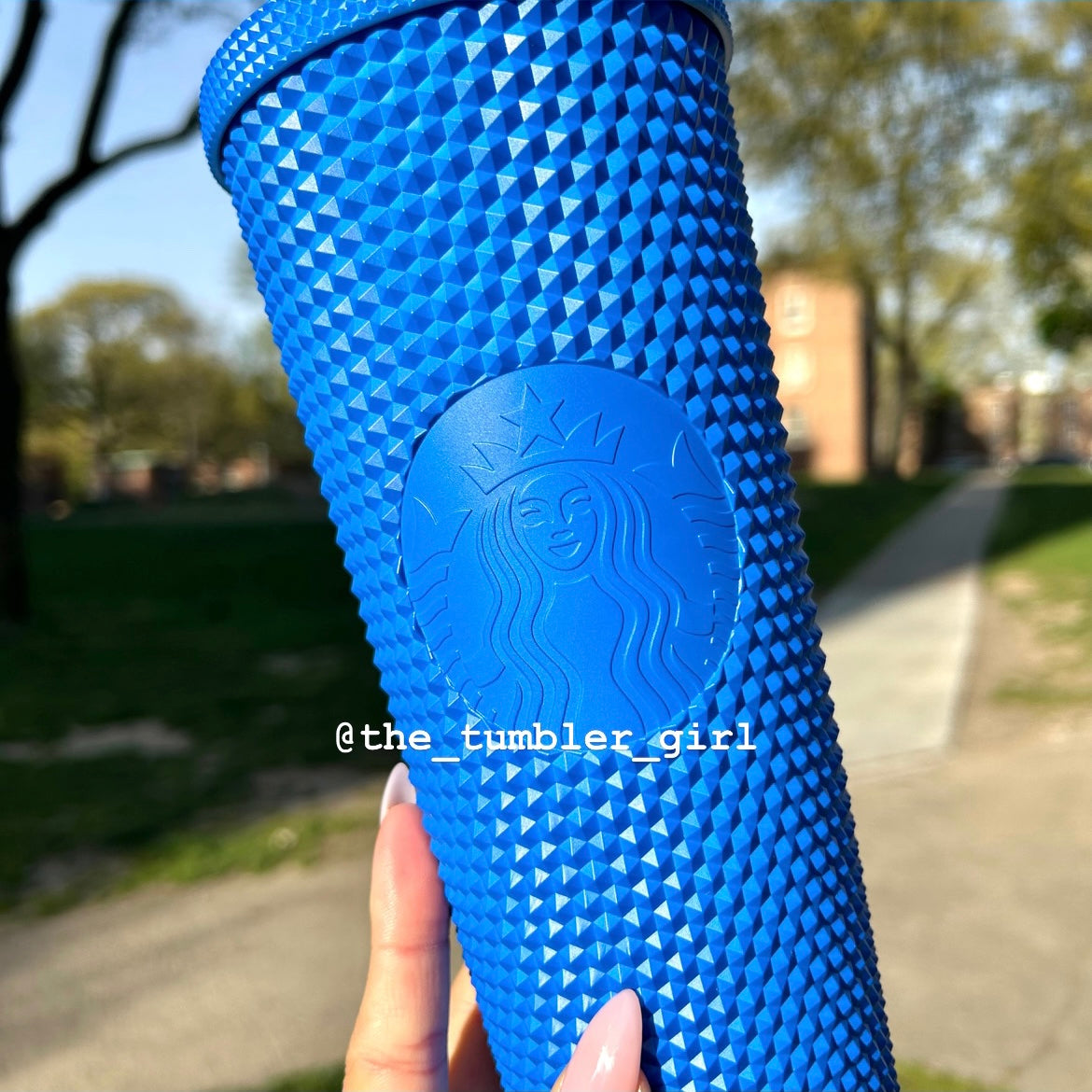 Starbucks China exclusive klein blue studded