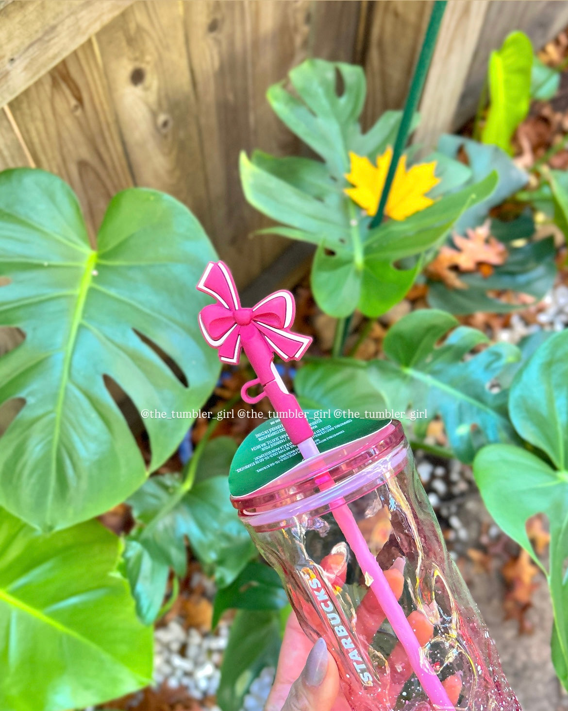Starbucks Holiday Pink Snow Glass Tumbler with Bow Topper 18oz (READY TO SHIP)
