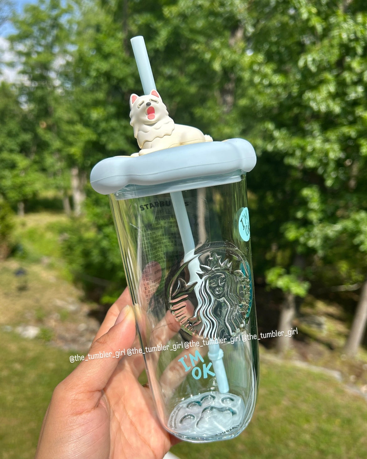 2026 China Exclusive Paw Series 16.9oz Glass Cold Cup – Heart-Shaped Bottom & Paw Print Base (READY TO SHIP)