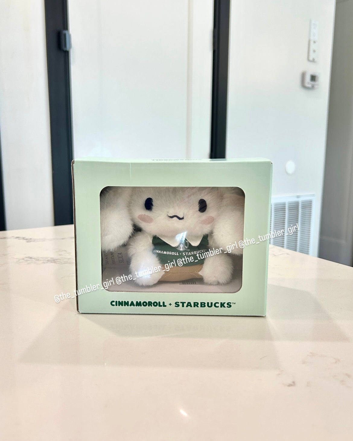2026 Philippines Exclusive Cinnamoroll Mini Plushie (READY TO SHIP)