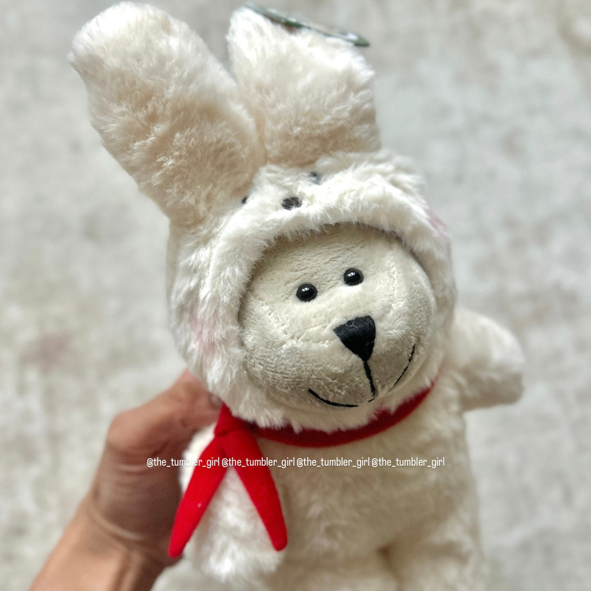 Starbucks Taiwan Bunny Bearista Plushie (READY TO SHIP)