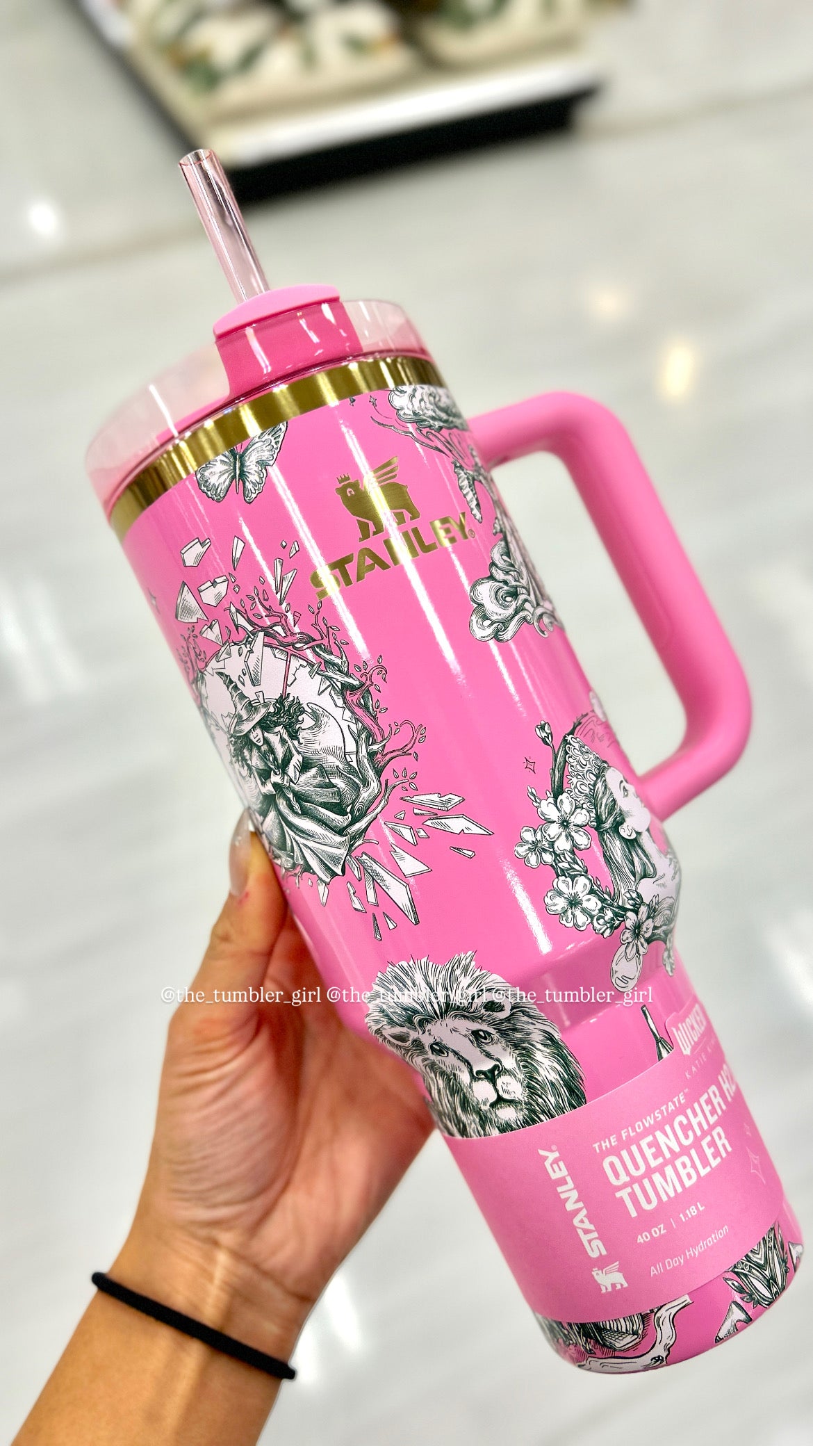 Stanley Wicked Ozian Reprise 40oz Stainless Steel Quencher Tumbler (READY TO SHIP)