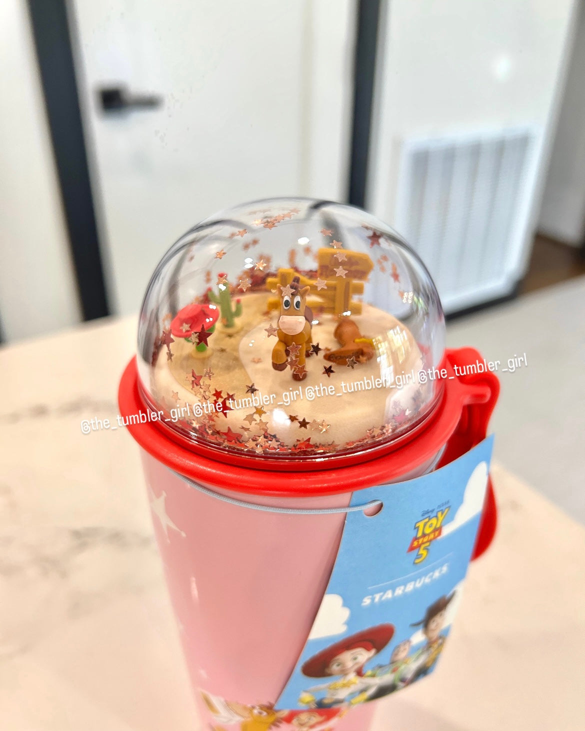 Starbucks Korea x Toy Story 5 Series 16oz Stainless Steel Tumbler (READY TO SHIP)