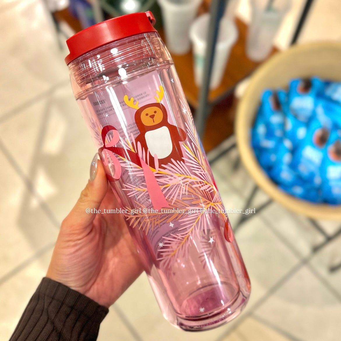 Starbucks Holiday 2025 Bear Cold Cup Tumbler 16oz (READY TO SHIP)