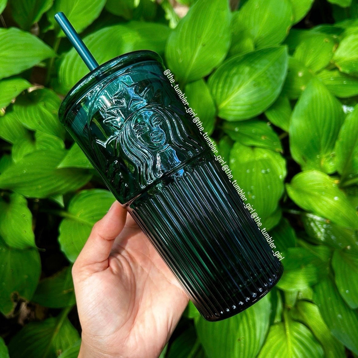 Starbucks China Exclusive 18oz Emerald Green Glass Cold Cup (READY TO SHIP)