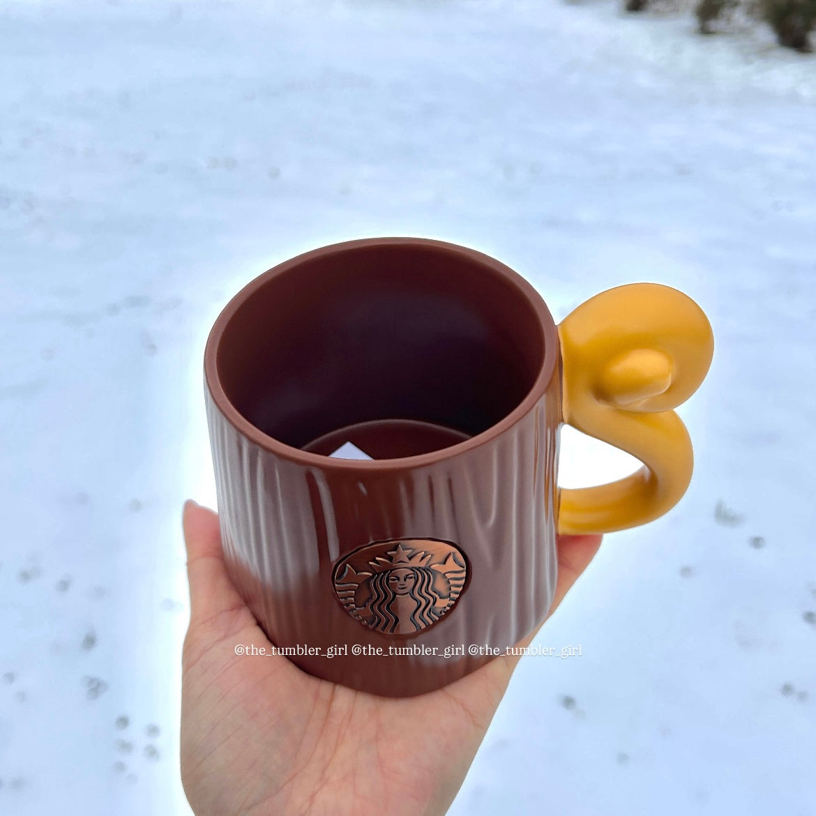 Starbucks China Ceramic Mug with Squirrel Plushie Keychain 15oz (READY TO SHIP)