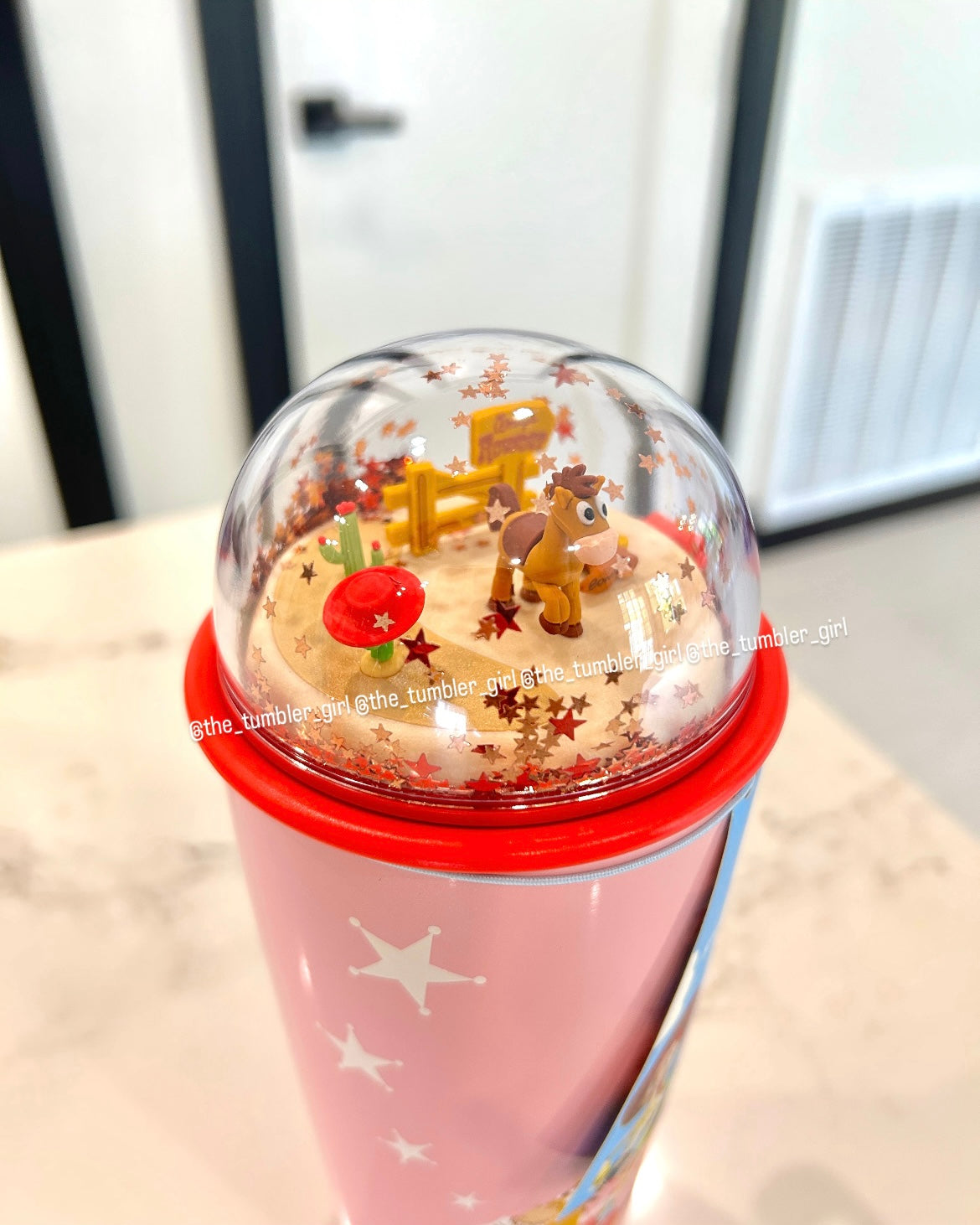 Starbucks Korea x Toy Story 5 Series 16oz Stainless Steel Tumbler (READY TO SHIP)