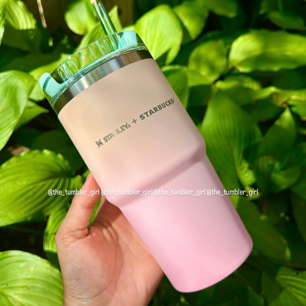 Stanley X Starbucks Taiwan Pink Gradient Stainless Steel Tumbler 20oz