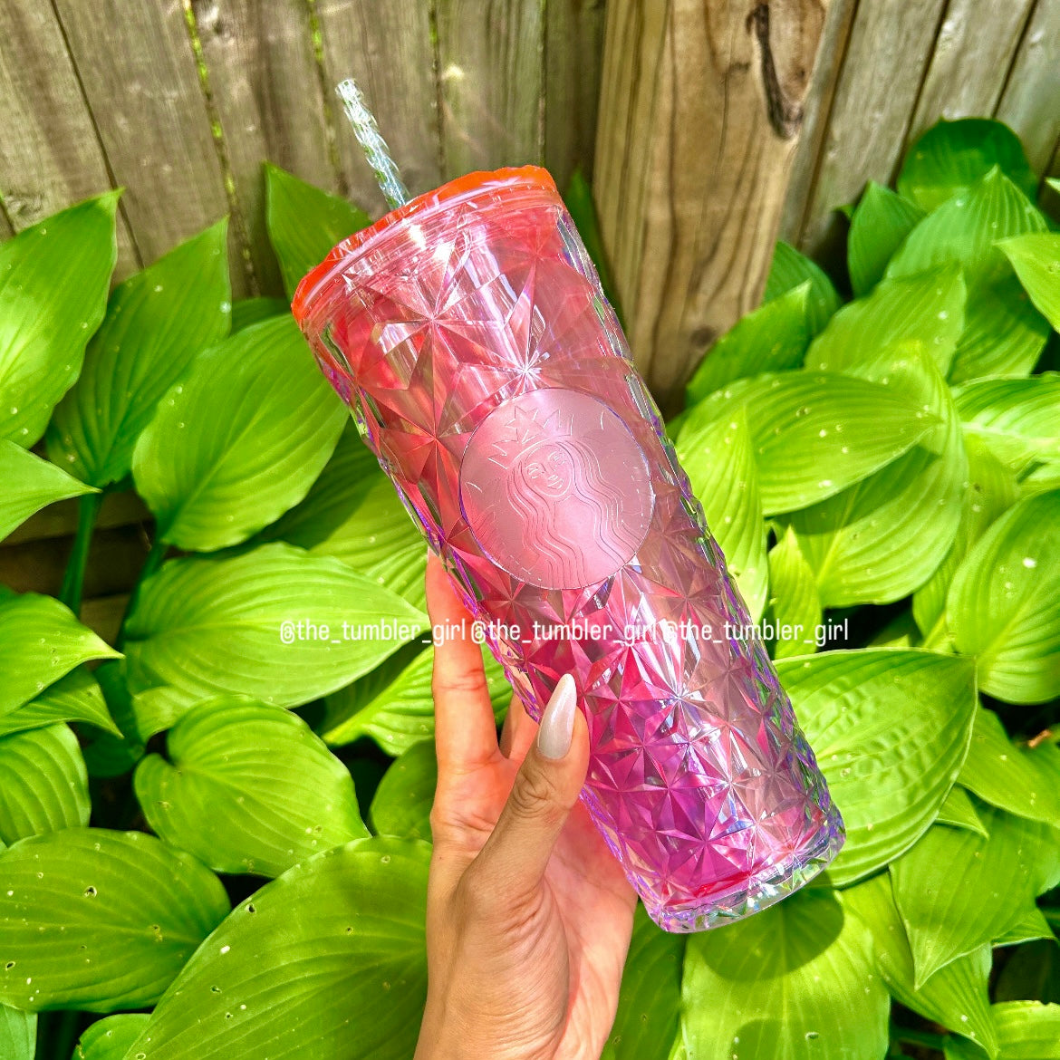 Starbucks China exclusive pink gradient prism diamond tumbler