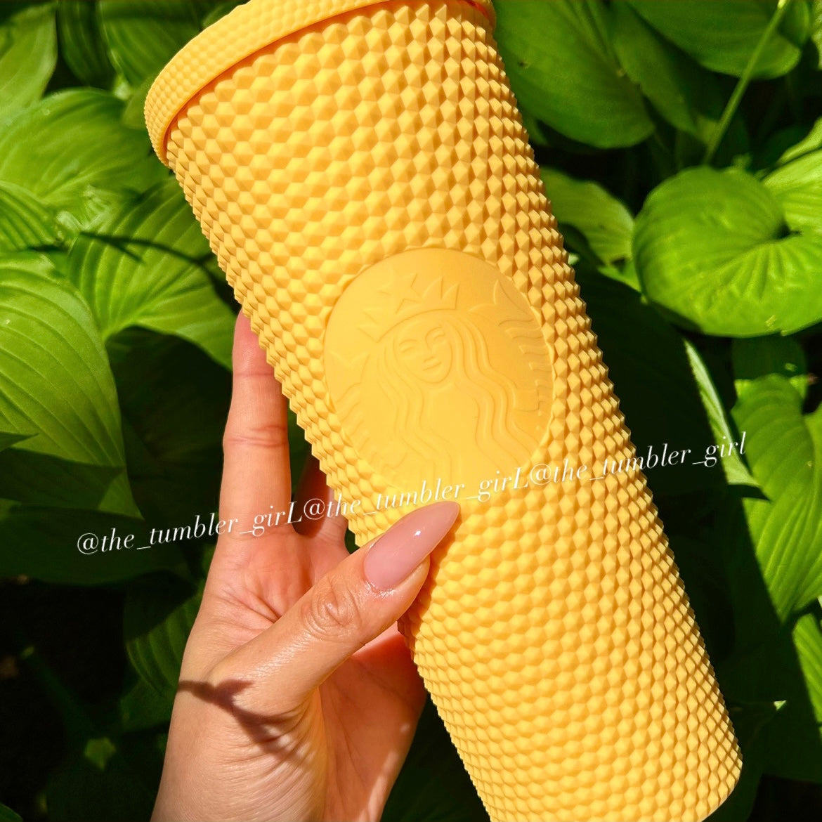 Starbucks China yellow studded (elephant straw cover included)