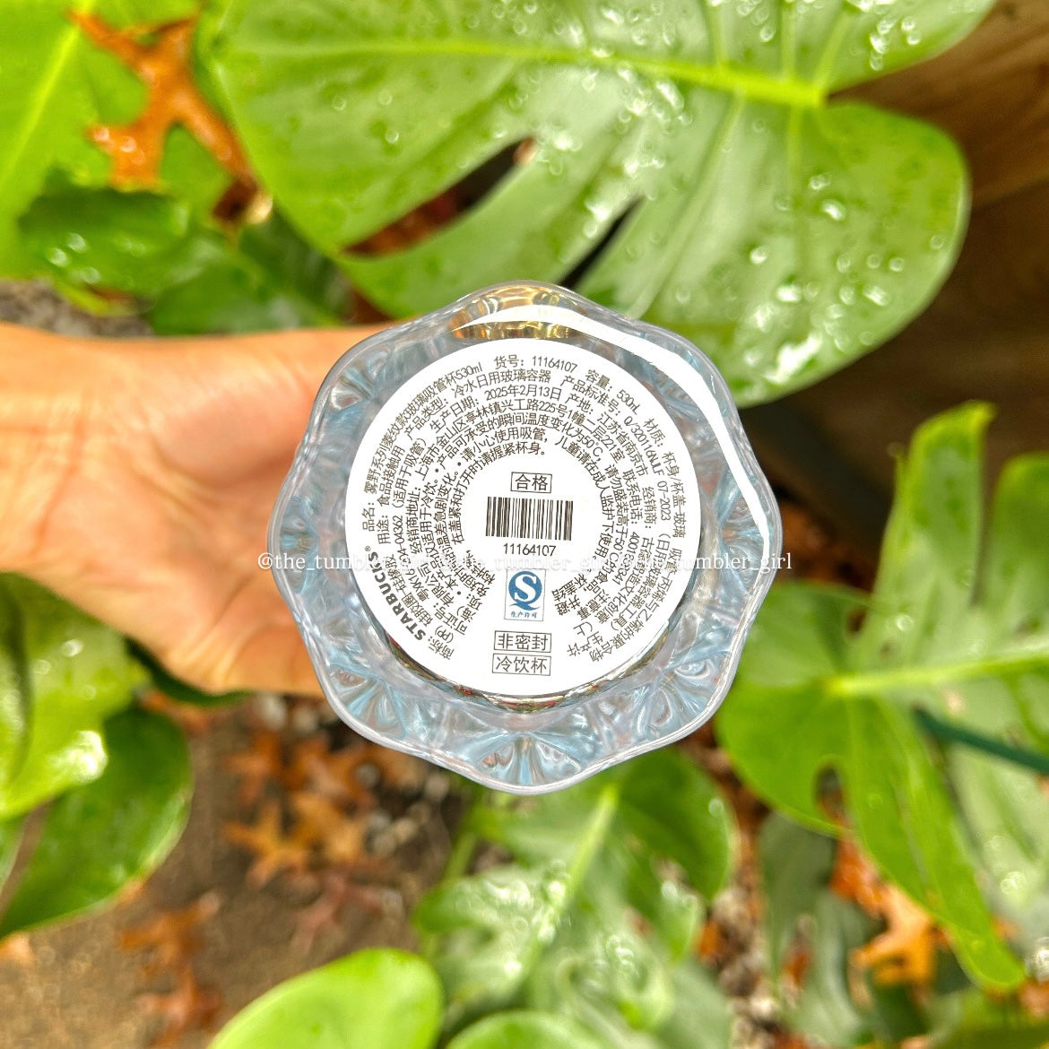 Starbucks China Summer Blue 18oz Glass Cold Cup (READY TO SHIP)