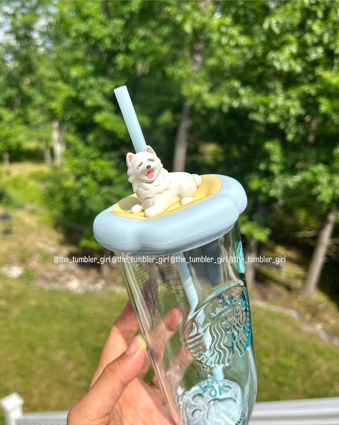 2026 China Exclusive Paw Series 16.9oz Glass Cold Cup – Heart-Shaped Bottom & Paw Print Base (READY TO SHIP)