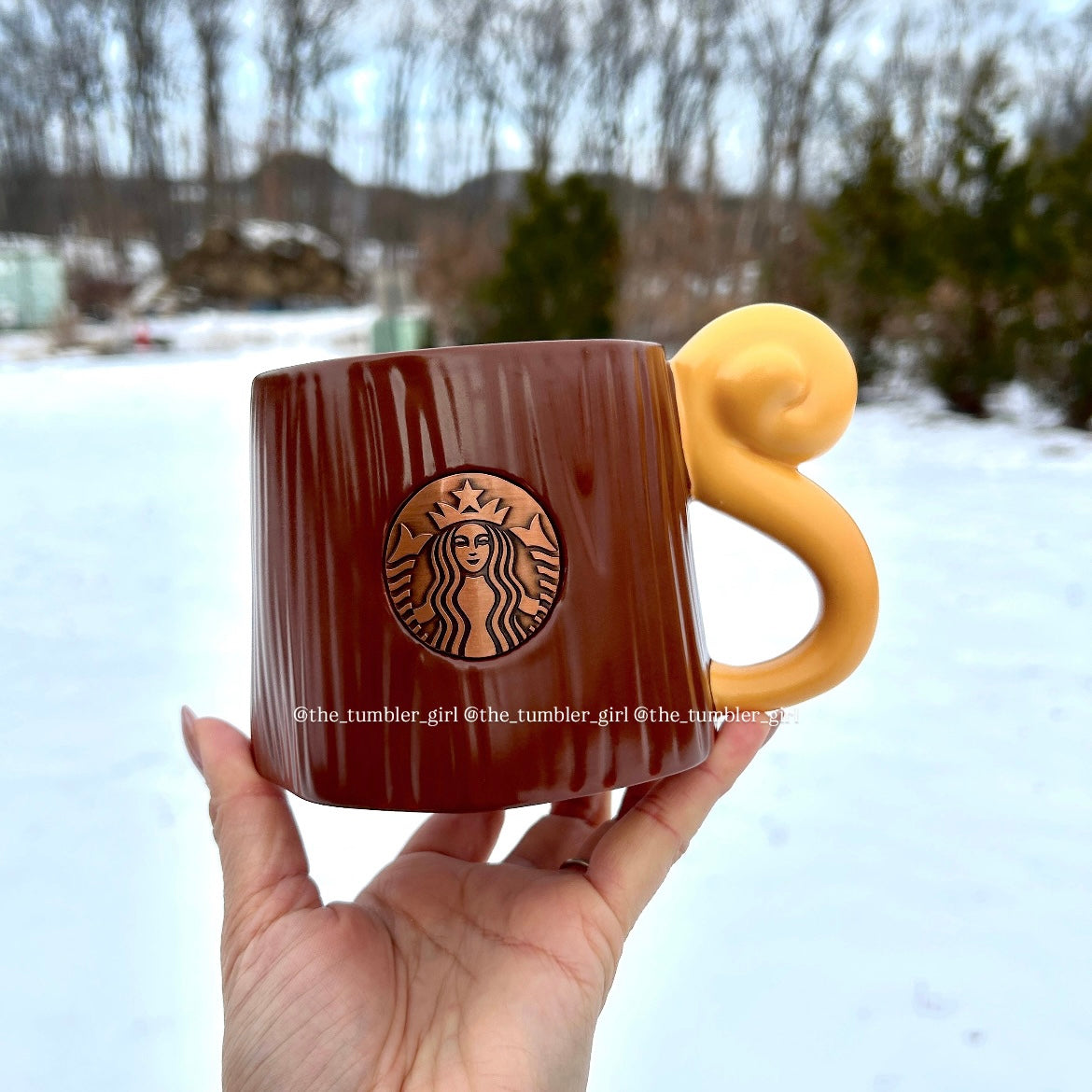 Starbucks China Ceramic Mug with Squirrel Plushie Keychain 15oz (READY TO SHIP)