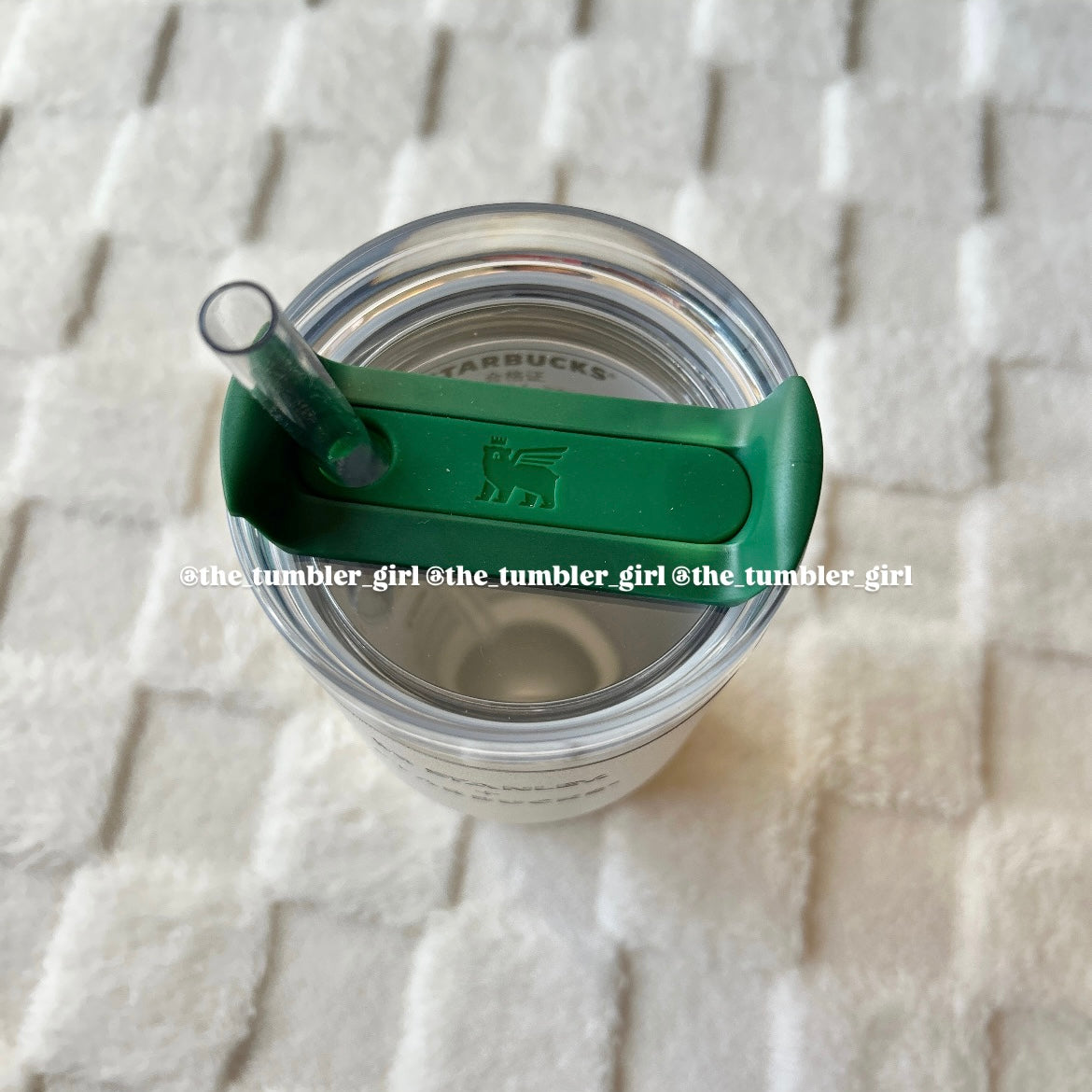 Starbucks Chin x Stanley Minimalist Series 14oz Stainless Steel Tumbler (READY TO SHIP)