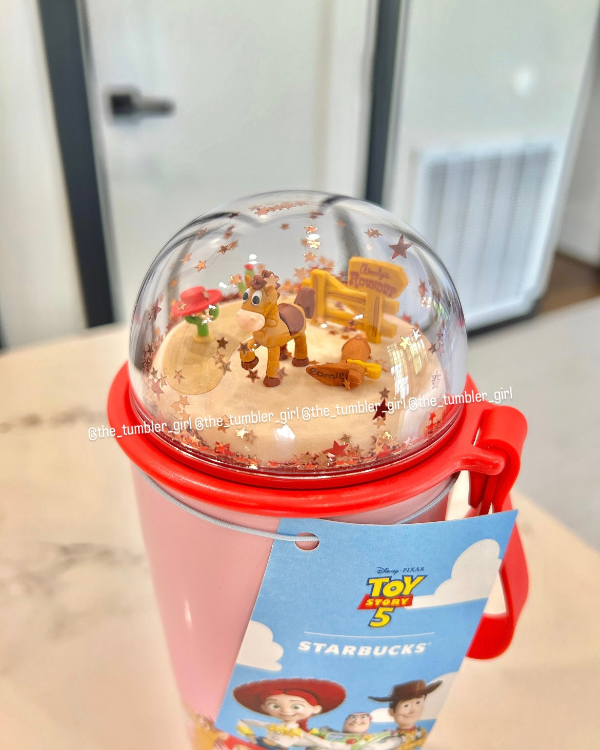 Starbucks Korea x Toy Story 5 Series 16oz Stainless Steel Tumbler (READY TO SHIP)
