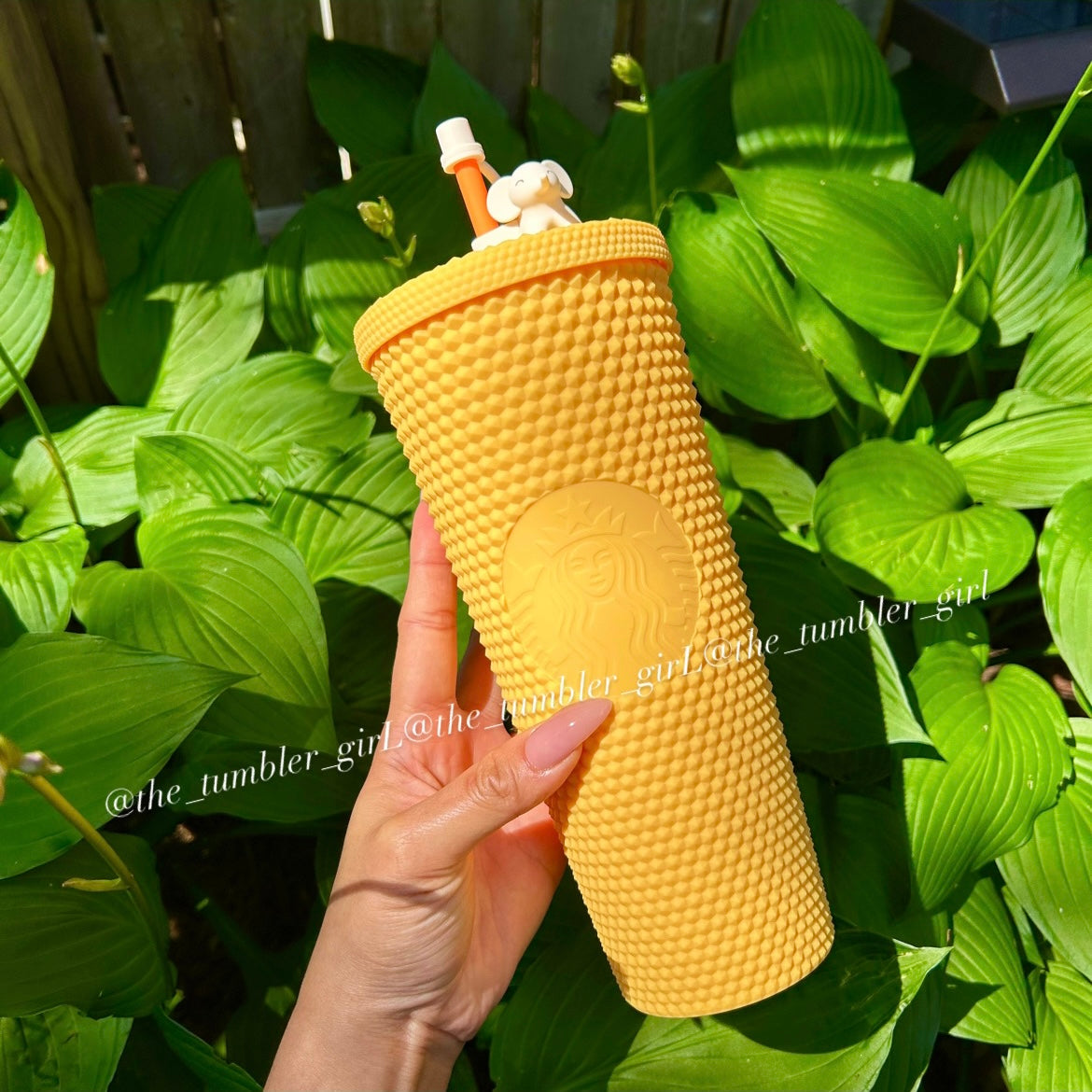 Starbucks China yellow studded (elephant straw cover included)