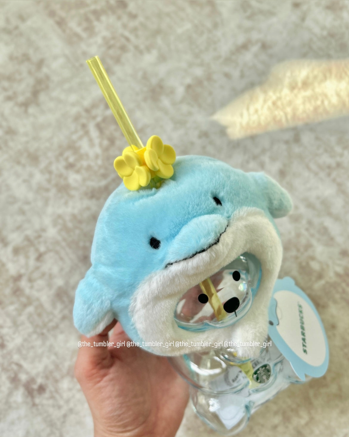 2026 Korea Jeju Island Exclusive Dolphin Bearista Glass Cold Cup (READY TO SHIP)