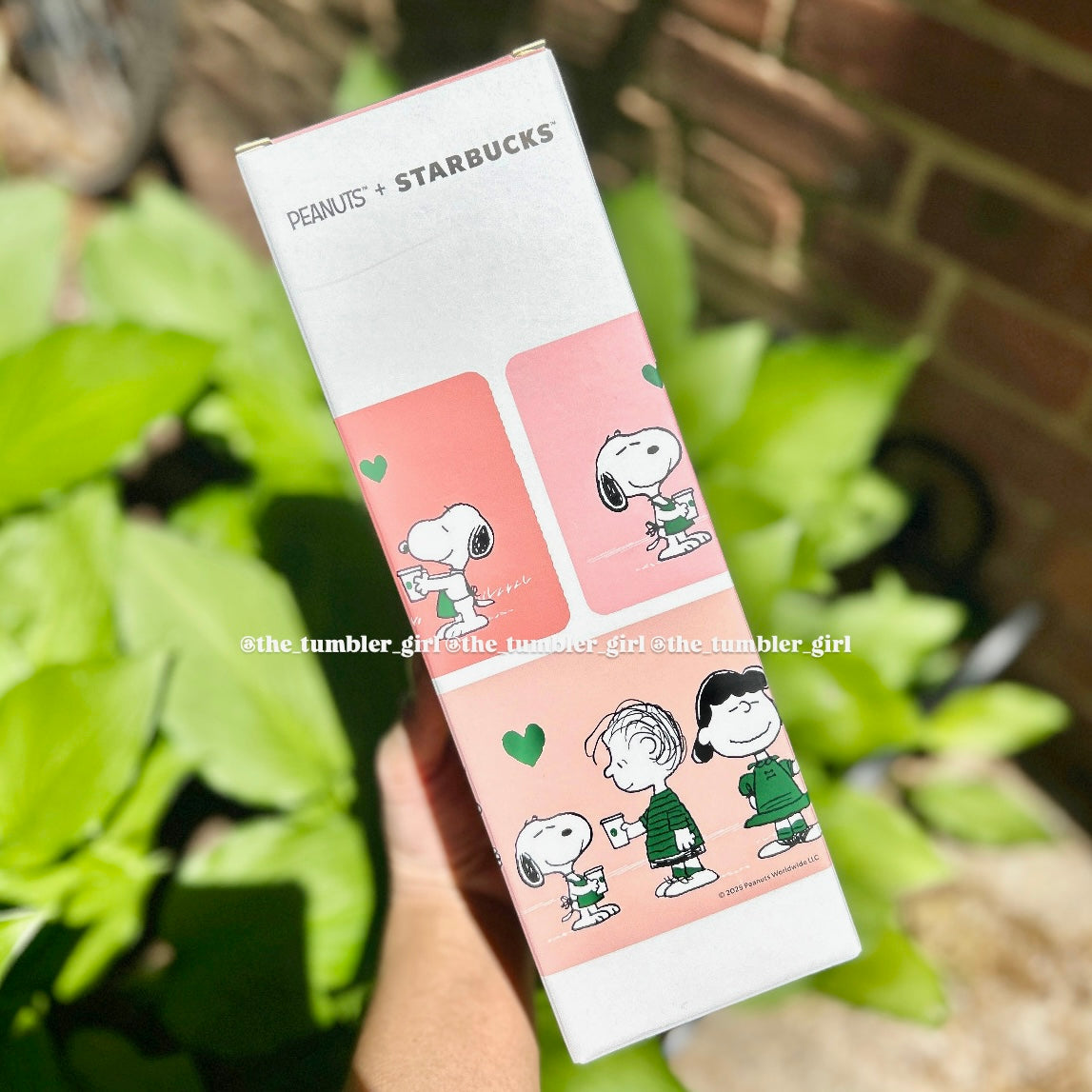 Starbucks Taiwan x PEANUTS 24oz Friendship Pink Stainless Steel Tumbler (READY TO SHIP)
