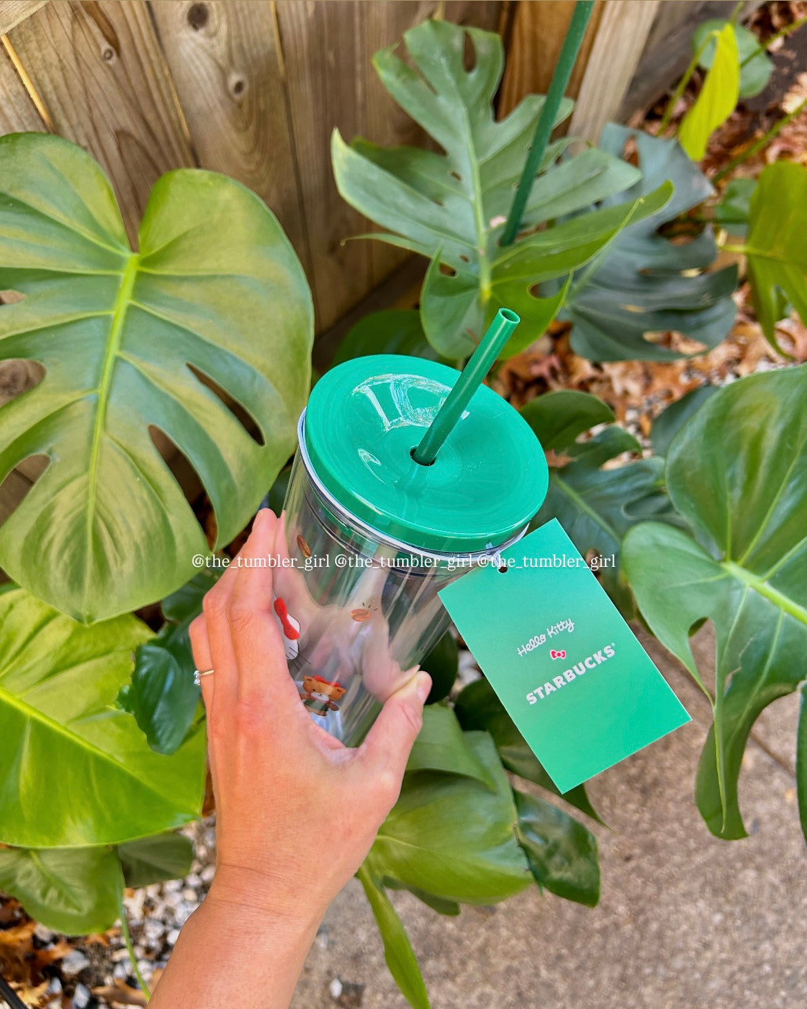 Starbucks x Hello Kitty 2025 Holiday Cold Cup Tumbler 24oz (READY TO SHIP)