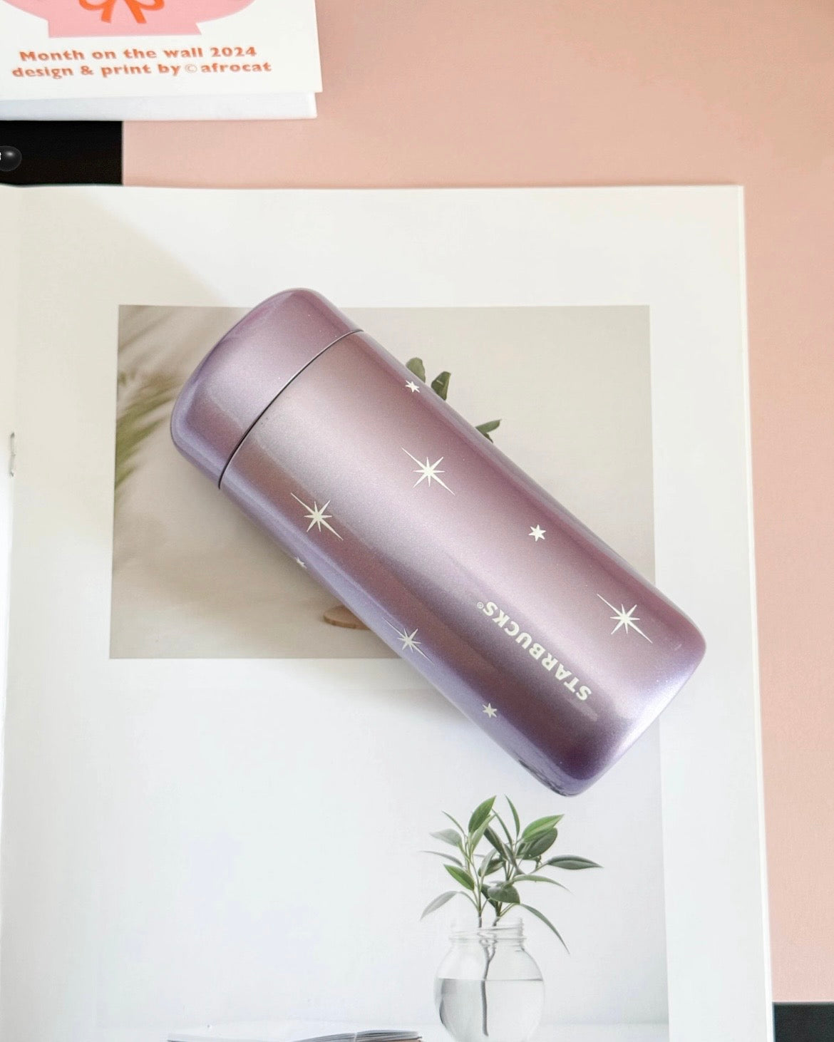 Starbucks China Violet Night Galaxy 7oz Stainless Steel Bottle With Bag and Bear Plushie