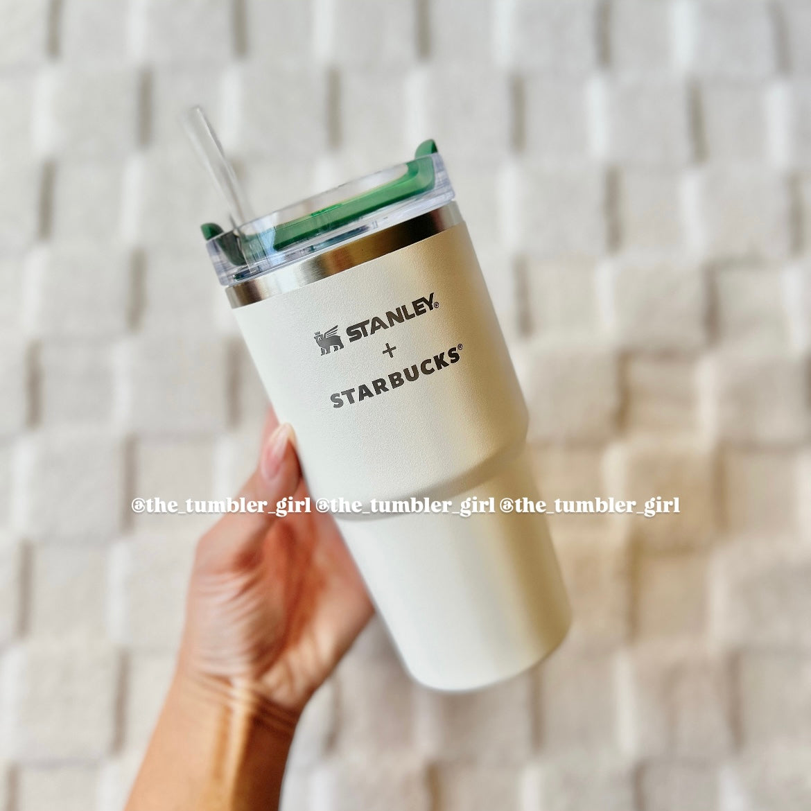 Starbucks Chin x Stanley Minimalist Series 14oz Stainless Steel Tumbler (READY TO SHIP)
