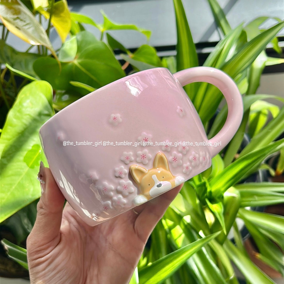 Starbucks Taiwan Sakura Corgi Mug 14oz (READY TO SHIP)