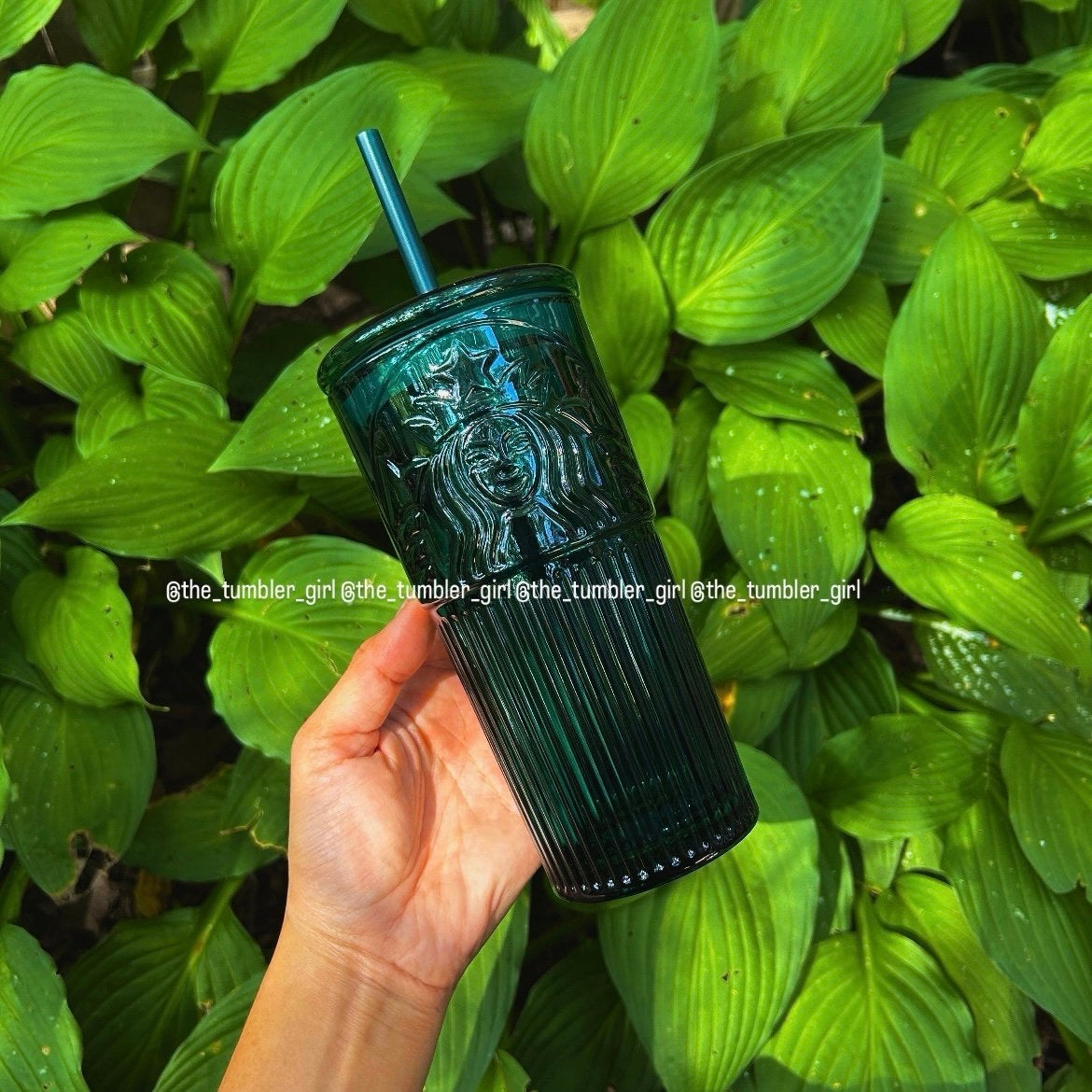 Starbucks China Exclusive 18oz Emerald Green Glass Cold Cup (READY TO SHIP)