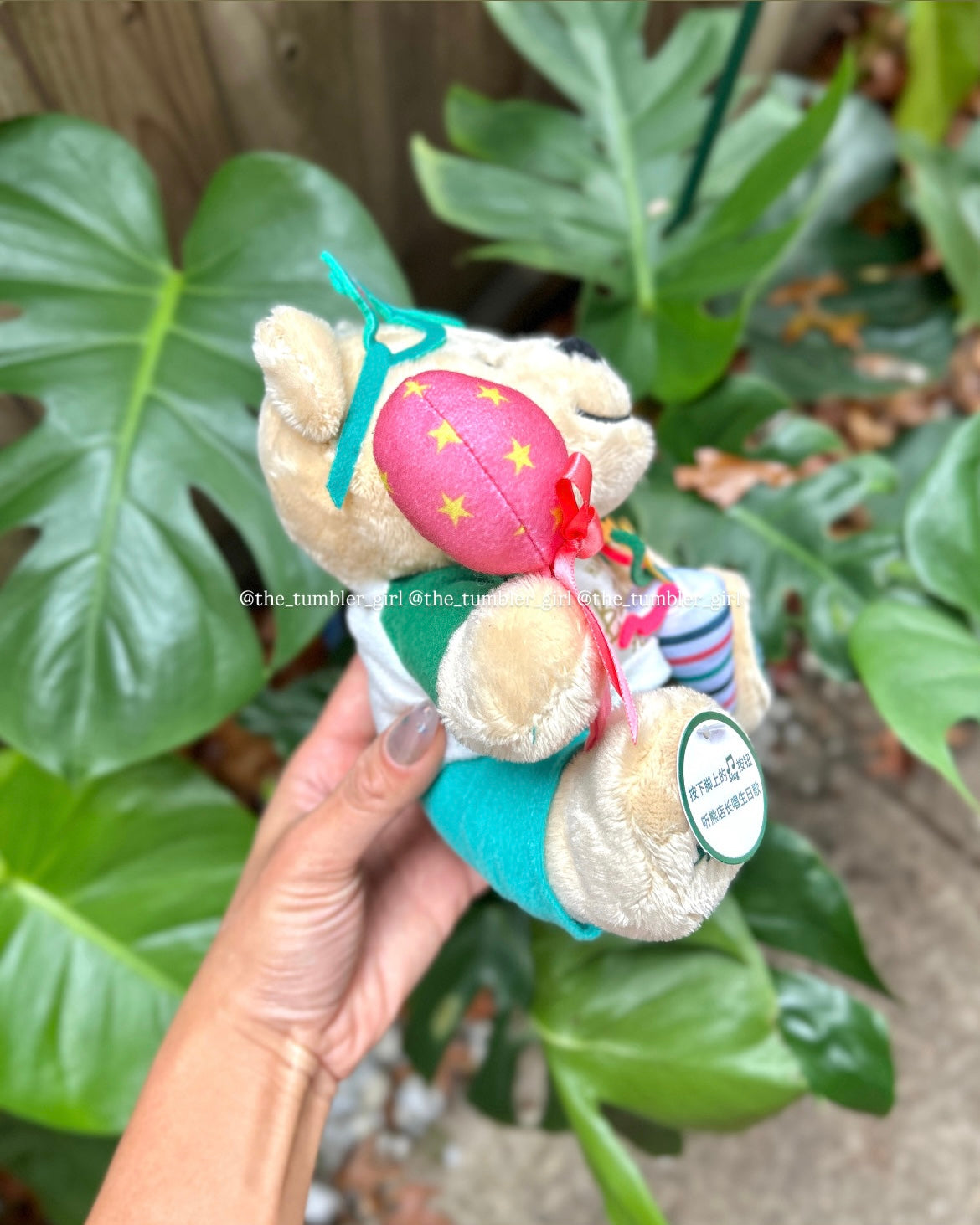 Starbucks China Happy Birthday Singing Bearista Plushie (READY TO SHIP)