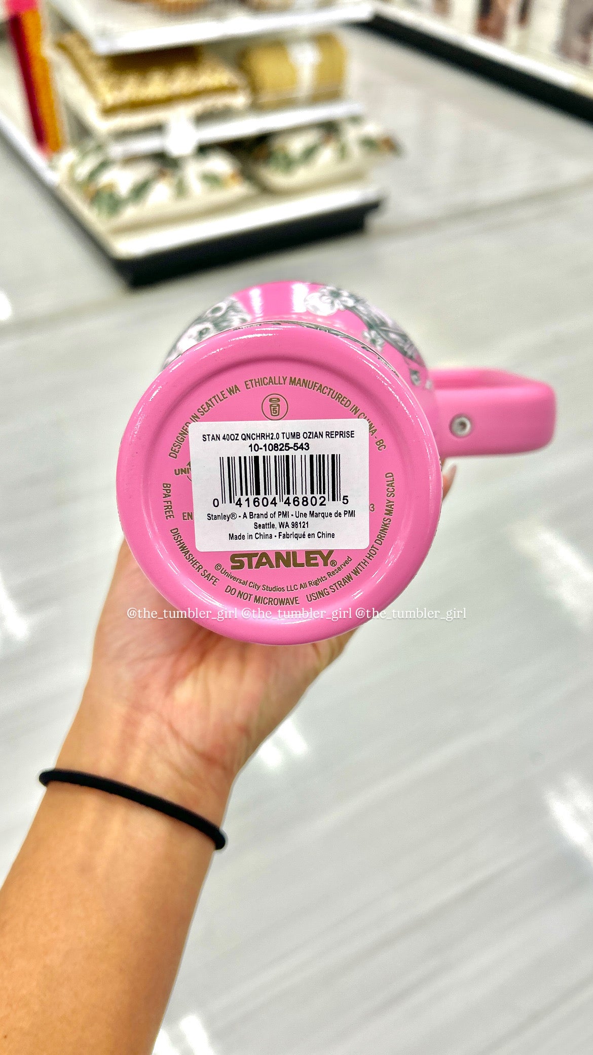 Stanley Wicked Ozian Reprise 40oz Stainless Steel Quencher Tumbler (READY TO SHIP)