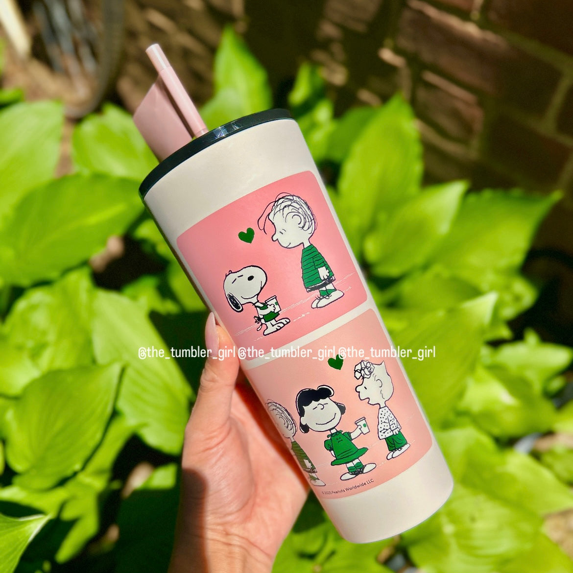 Starbucks Taiwan x PEANUTS 24oz Friendship Pink Stainless Steel Tumbler (READY TO SHIP)