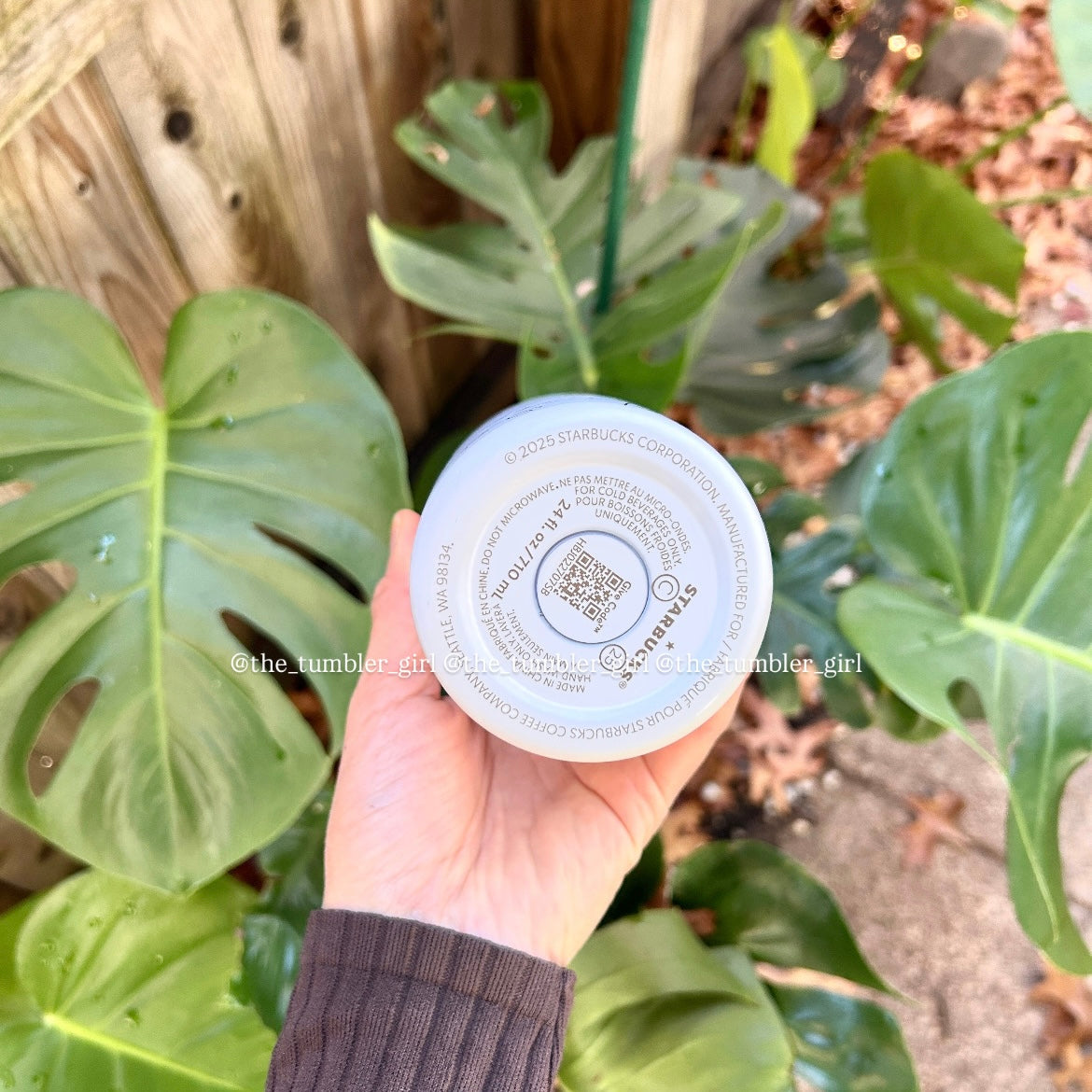 Starbucks Roller Rabbit Stainless Steel Tumbler 24oz (READY TO SHIP)