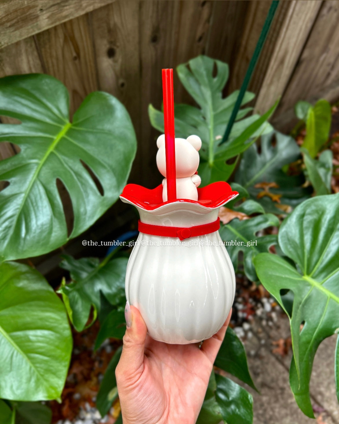 Starbucks China 2025 Holiday 14oz Bear Ceramic Cup with Red Bow (READY TO SHIP)