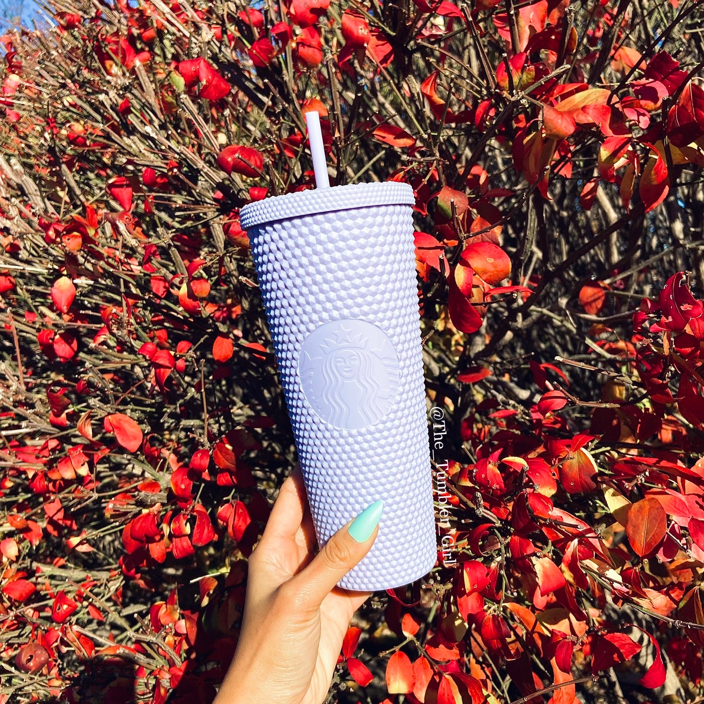 Starbucks Taiwan Purple Lilac Matte Studded Tumbler