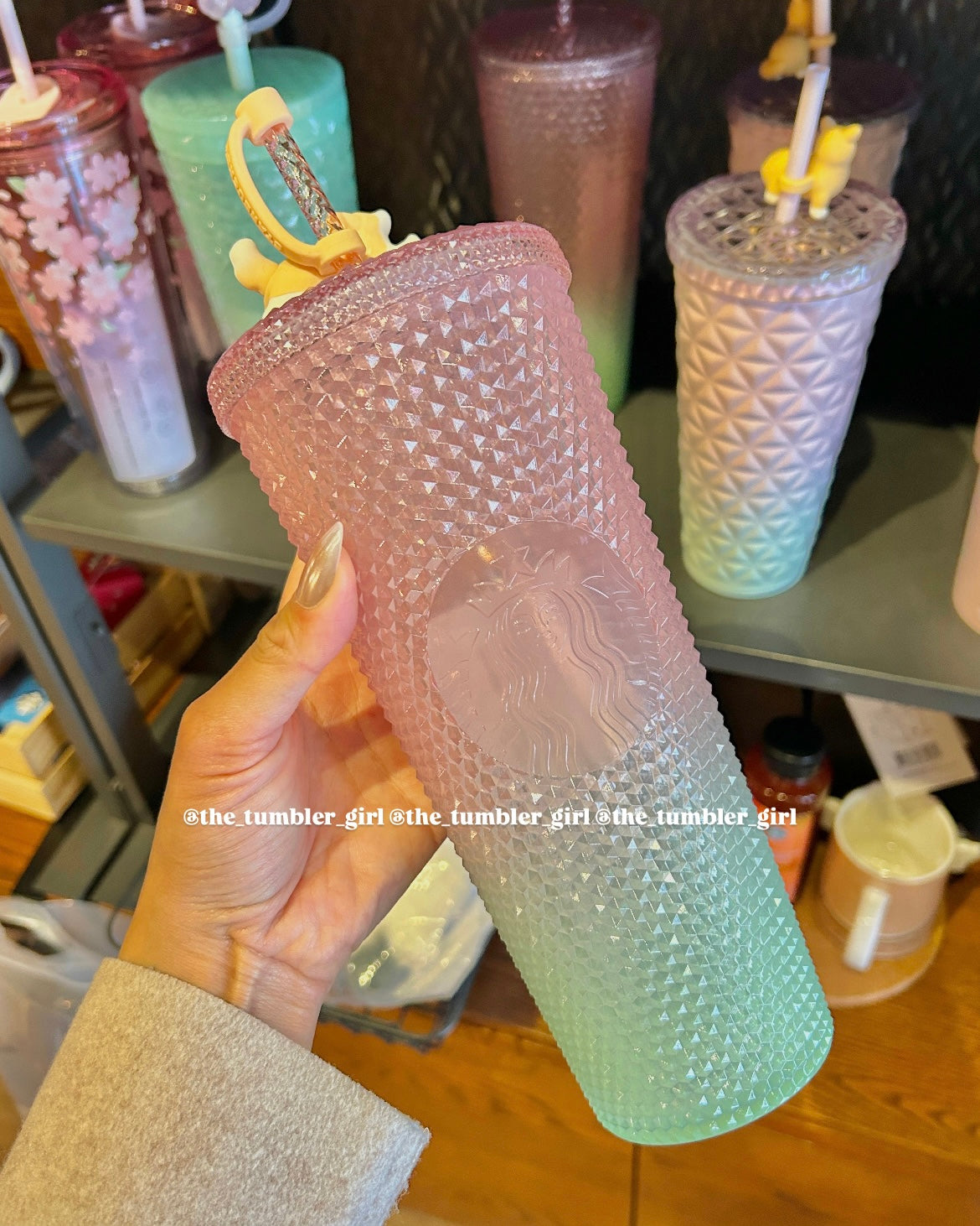 Starbucks Taiwan Spring Ombré Corgi Studded Tumbler (ships late March)