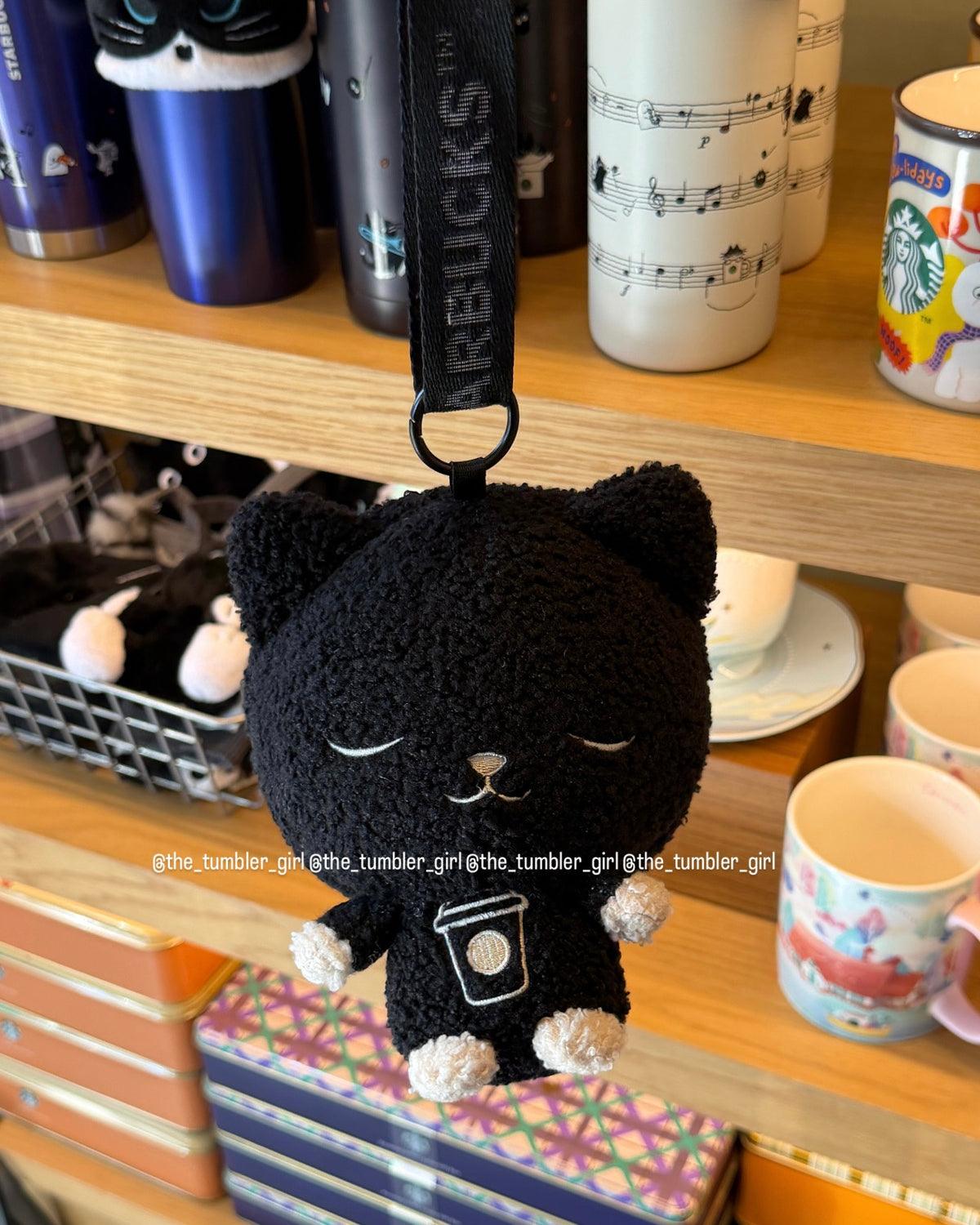 2026 Taiwan Black Cat Fairy Band Release Plush Pouch with Detachable Strap (Ships Early November)