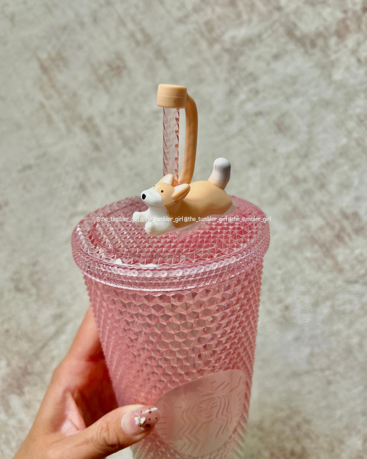 Starbucks Taiwan Spring Ombré Corgi Studded Tumbler (READY TO SHIP)