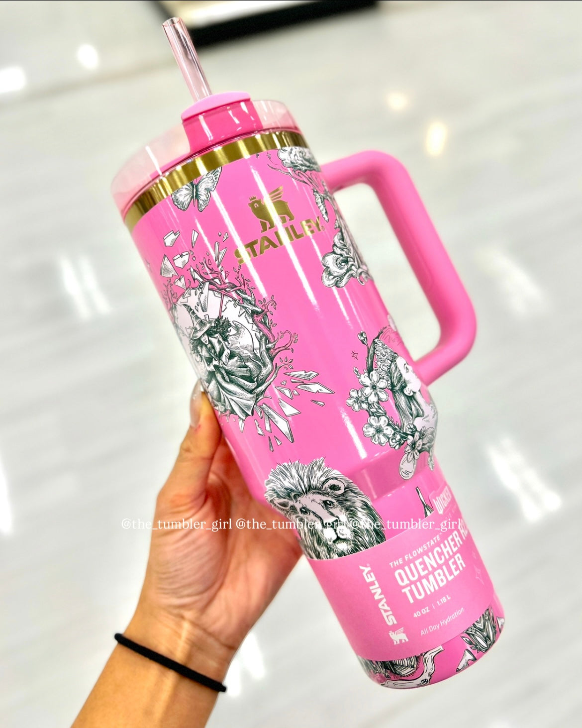 Stanley Wicked Ozian Reprise 40oz Stainless Steel Quencher Tumbler (READY TO SHIP)