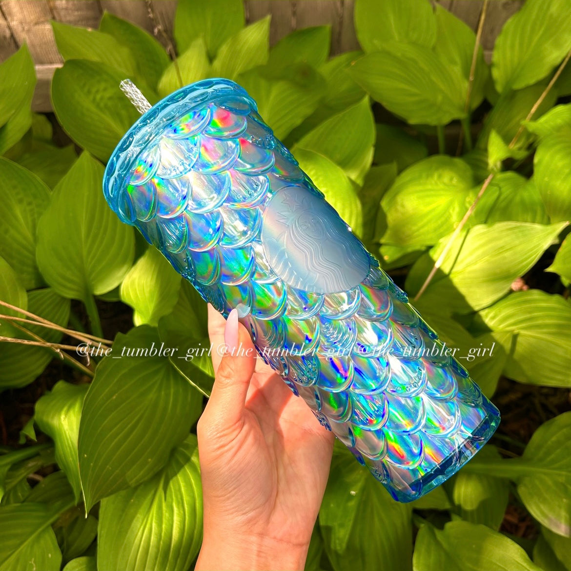 Starbucks Taiwan exclusive blue iridescent scales tumbler