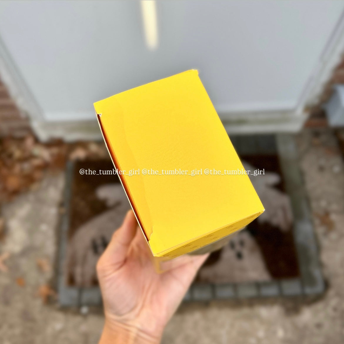 Starbucks China × Harry Potter Hufflepuff Bearista Keychain (READY TO SHIP)