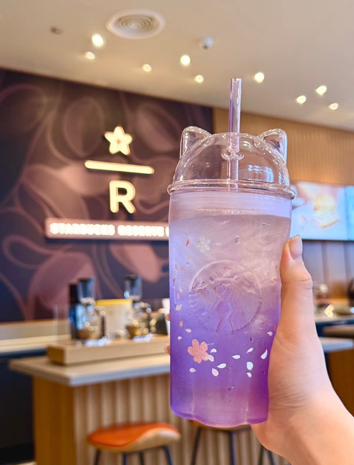 Starbucks korea Exclusive Sakura Cat Glass Cold Cup 16.9oz (ships in a week)