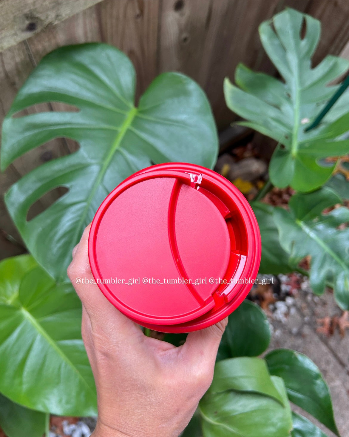 Starbucks China 2025 Holiday 14.5oz Red Bow Stainless Steel Cup (READY TO SHIP)