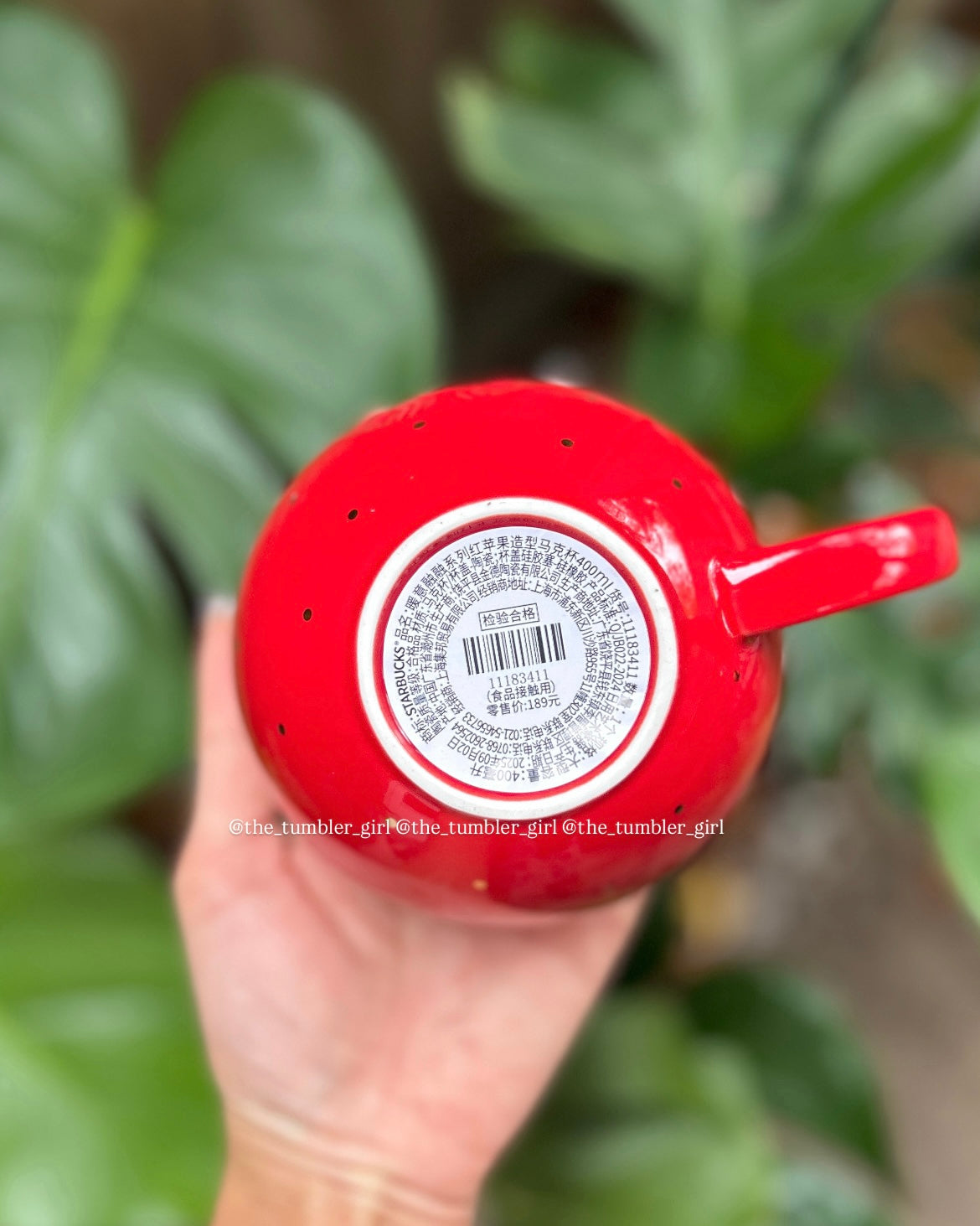 Starbucks China 2025 Holiday 13oz Apple & Husky Ceramic Mug (READY TO SHIP)